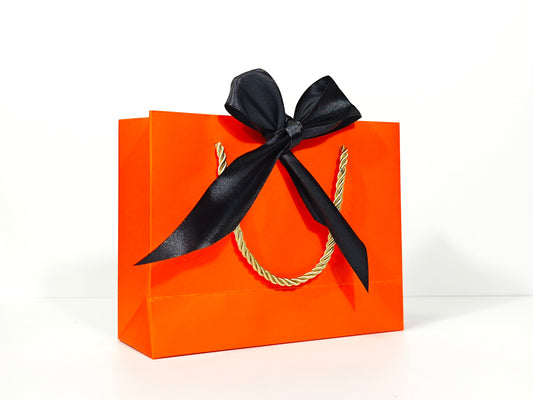 C1 Hermes Orange Paper Gift Bag with Black ribbon