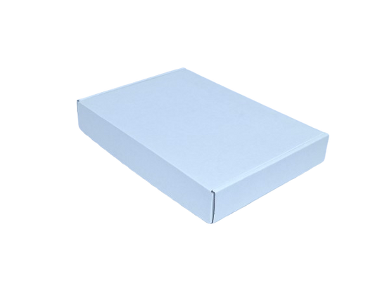 T15 Corrugated Mailer Box Baby Blue