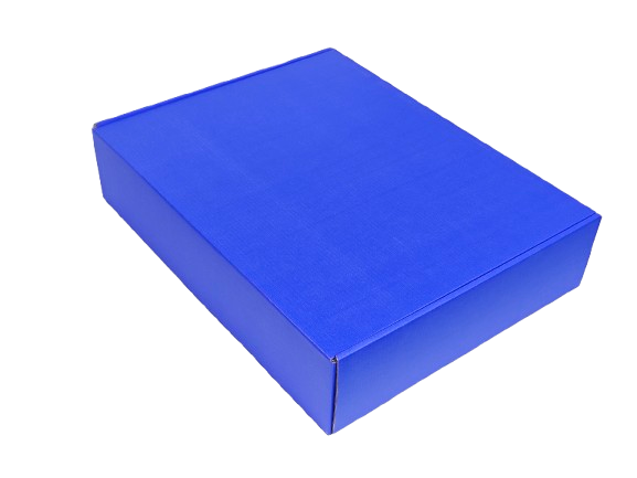 T22 Corrugated Mailer Box