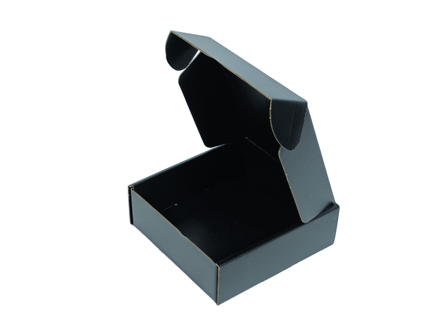 T5 Corrugated Mailer Box