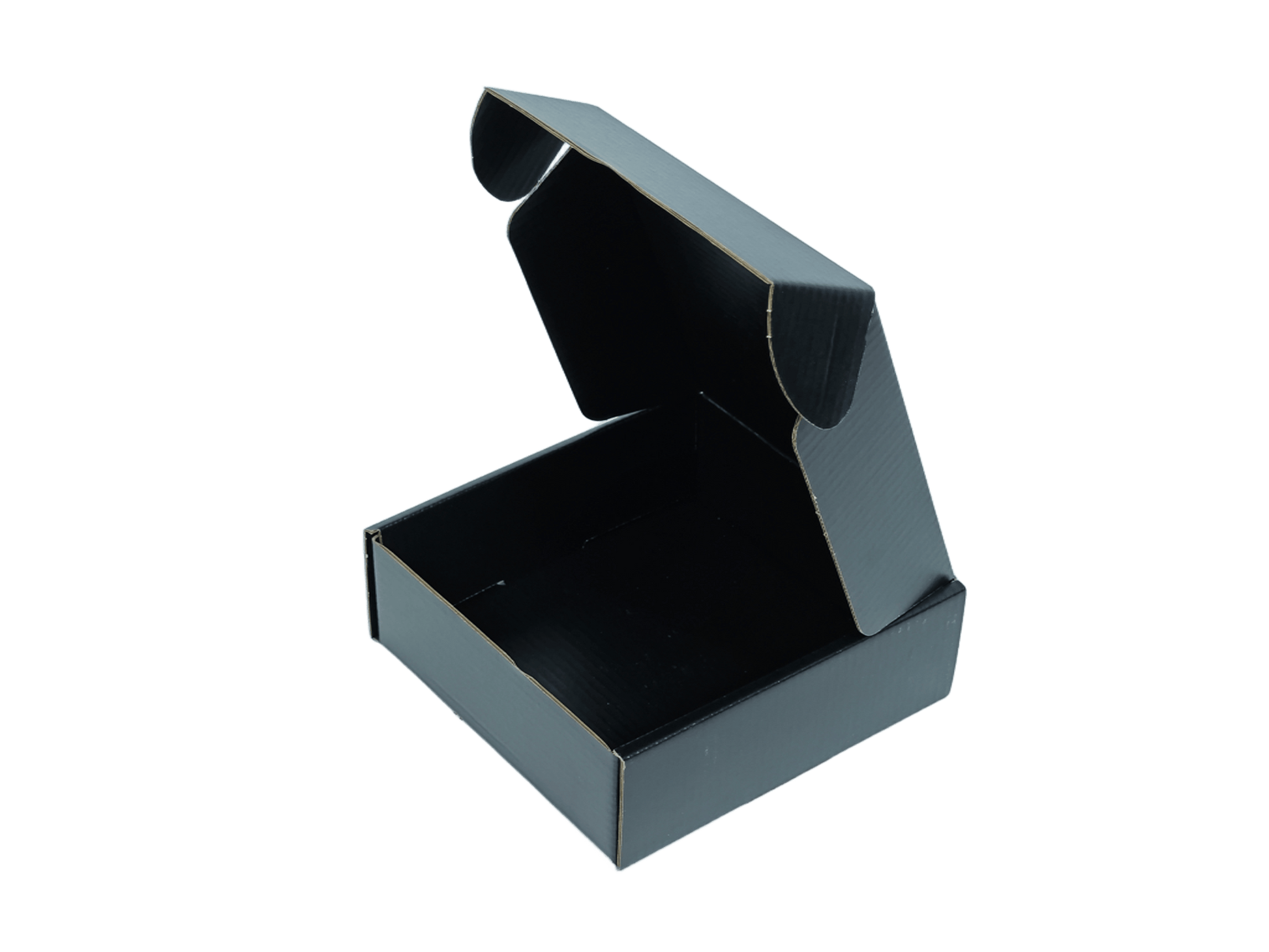 T5 Corrugated Mailer Box