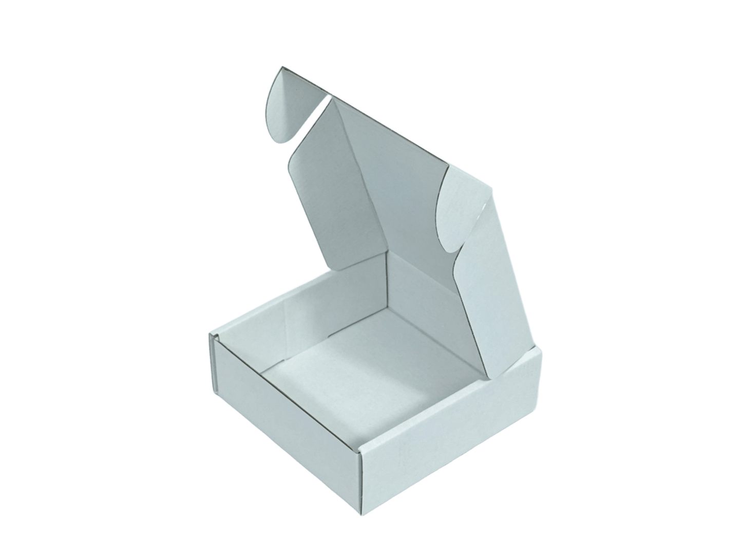 T5 Corrugated Mailer Box White